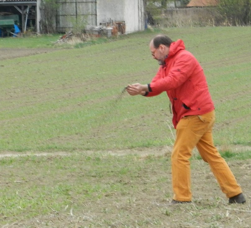 Brian Holmes broadcasting buckwheat seeds